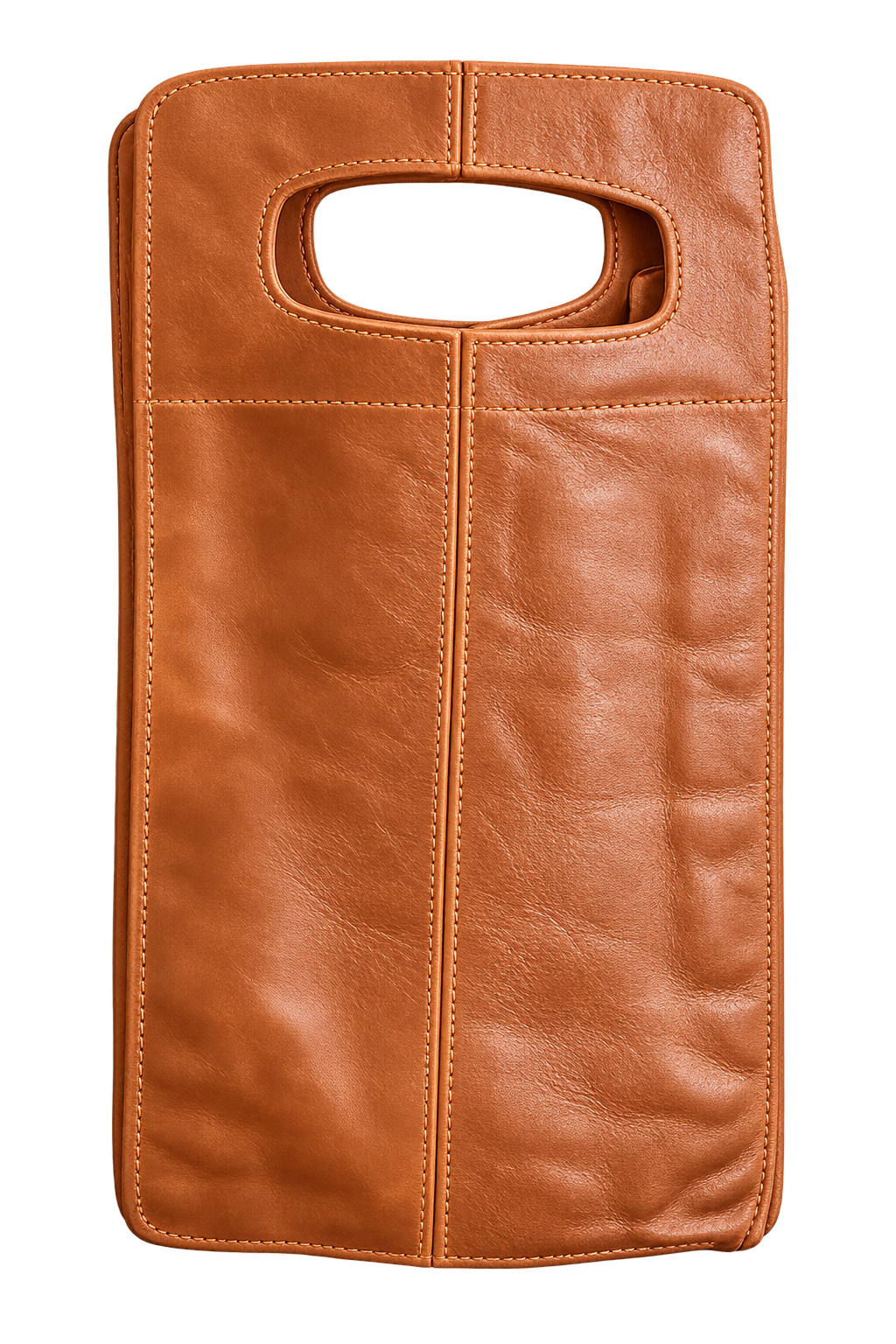 Double Wine Bag