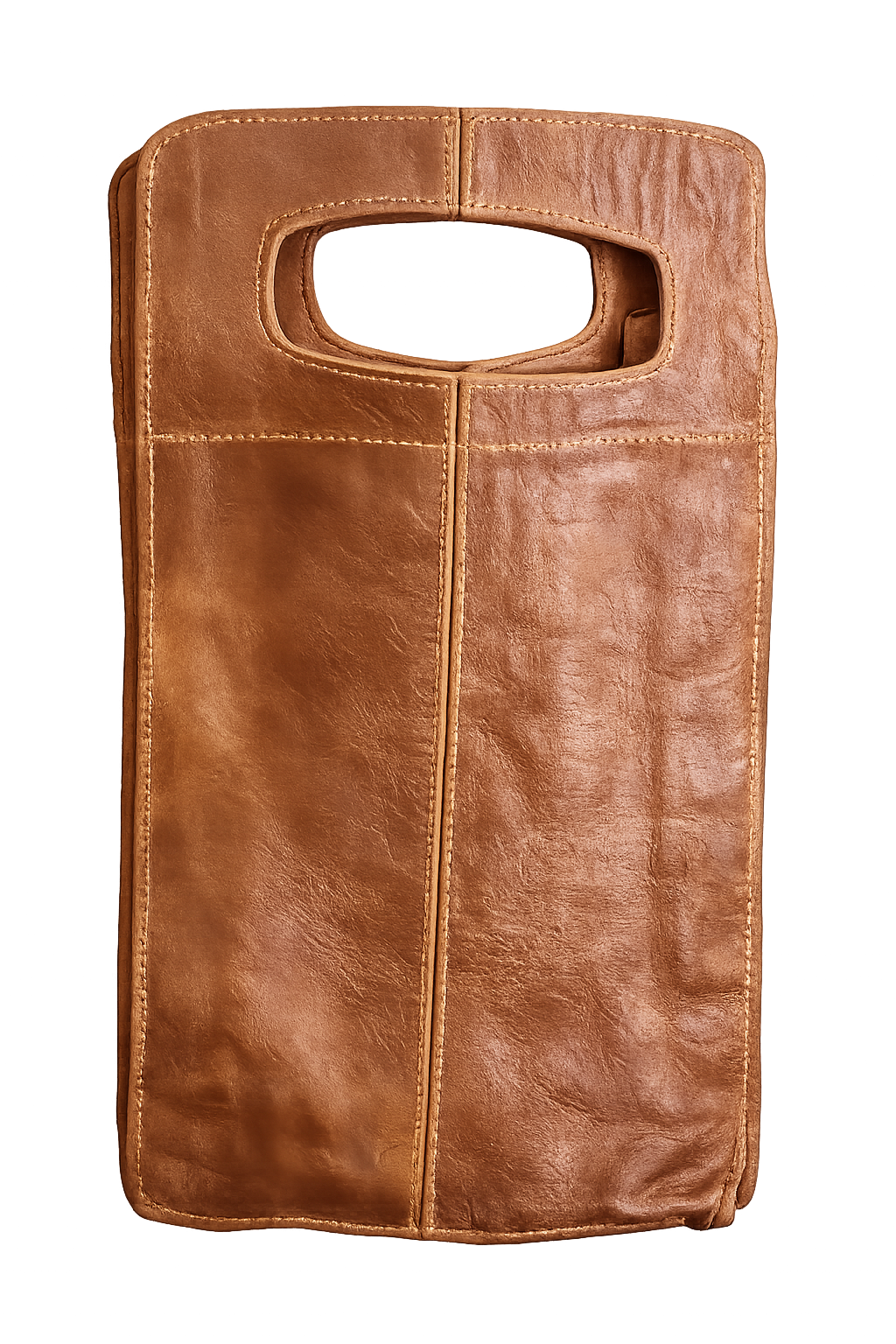 Double Wine Bag